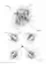 Fig. 58 - Propulsion and control for a magnetically lifted vehicle
