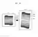 Fig. 26 - Flexible device and interfacing method thereof
