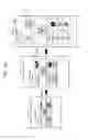 Fig. 40 - Flexible device and interfacing method thereof
