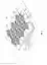Fig. 03 - Flexible transparent conductive coating and method of making thereof