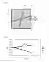 Fig. 12 - Touch panel and touch type input device