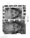 Fig. 13 - Reality capture graphical user interface