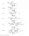 Fig. 08 - HANDLING GESTURES FOR CHANGING FOCUS