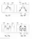 Fig. 40 - DETECTING AND INTERPRETING REAL-WORLD AND SECURITY GESTURES ON TOUCH AND HOVER SENSITIVE DEVICES