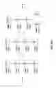 Fig. 11 - Write operations in a tree-based distributed file system