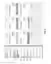 Fig. 04 - HYBRID AGGREGATION OF DATA SETS
