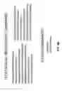Fig. 13 - Facilitating class specific execution of conceptual queries