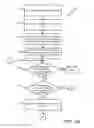 Fig. 03 - Automatically modifying a tree structure