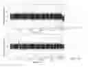 Fig. 13 - METHODS AND PROCESSES FOR NON-INVASIVE ASSESSMENT OF GENETIC VARIATIONS