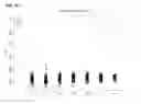 Fig. 48 - METHODS AND PROCESSES FOR NON-INVASIVE ASSESSMENT OF GENETIC VARIATIONS