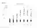 Fig. 50 - METHODS AND PROCESSES FOR NON-INVASIVE ASSESSMENT OF GENETIC VARIATIONS