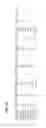 Fig. 51 - METHODS AND PROCESSES FOR NON-INVASIVE ASSESSMENT OF GENETIC VARIATIONS