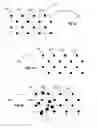 Fig. 02 - Systems and methods for creating hair transplantation procedure sites