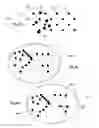 Fig. 03 - Systems and methods for creating hair transplantation procedure sites
