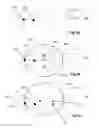 Fig. 06 - Systems and methods for creating hair transplantation procedure sites