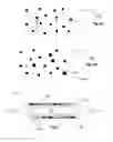 Fig. 07 - Systems and methods for creating hair transplantation procedure sites