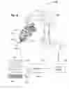Fig. 11 - Systems and methods for creating hair transplantation procedure sites