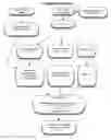 Fig. 01 - Methods and algorithm for selecting allogenic hematopoietic cell donor based on KIR and HLA genotypes