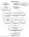 Fig. 02 - Methods and algorithm for selecting allogenic hematopoietic cell donor based on KIR and HLA genotypes