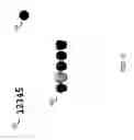 Fig. 07 - METHOD AND SYSTEM FOR VERIFICATION OF HUMAN PRESENCE AT A MOBILE DEVICE