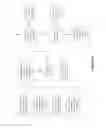 Fig. 05 - Credential-free identification and authentication