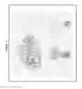 Fig. 13 - Visual image authentication