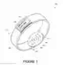 Fig. 02 - Data permission management for wearable devices