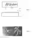 Fig. 02 - Dendritic structures and tags