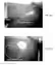 Fig. 07 - Dendritic structures and tags