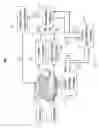 Fig. 03 - Biometric matching technology