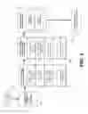 Fig. 03 - Identification of comprehension burden in multimedia content