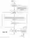Fig. 10 - Virtual interview via mobile device