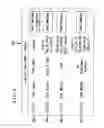 Fig. 12 - SYSTEM AND METHOD FOR PROCESSING GIFT CARDS WHICH HIDE SOME GIFT CARD DATA