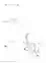 Fig. 02 - Communication Device