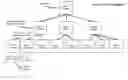 Fig. 01 - METHOD AND APPARATUS FOR AUTOMATED PAYMENT DISTRIBUTION FOR A MULTI-LEVEL SOCIAL NETWORK