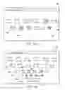 Fig. 04 - Evolutionary content determination and management