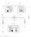 Fig. 02 - Customizing content delivery from a brand page to a user in a social networking environment