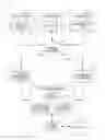 Fig. 01 - Generating and utilizing digital avatar data for online marketplaces