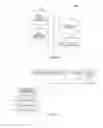 Fig. 07 - Generating and utilizing digital avatar data for online marketplaces