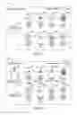 Fig. 17 - Generating and utilizing digital avatar data for online marketplaces