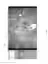 Fig. 03 - Multifunctional environment for image cropping