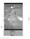 Fig. 04 - Multifunctional environment for image cropping