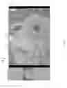 Fig. 05 - Multifunctional environment for image cropping