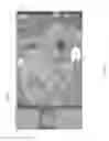 Fig. 08 - Multifunctional environment for image cropping