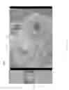 Fig. 09 - Multifunctional environment for image cropping