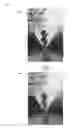 Fig. 01 - Dynamic motion path blur techniques