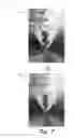 Fig. 08 - Dynamic motion path blur techniques