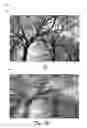 Fig. 13 - Dynamic motion path blur techniques