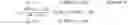 Fig. 03 - Method and apparatus for correcting image based on distribution of pixel characteristic
