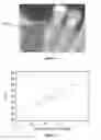 Fig. 04 - Method of determining an indicator for the stability of a bone implant
